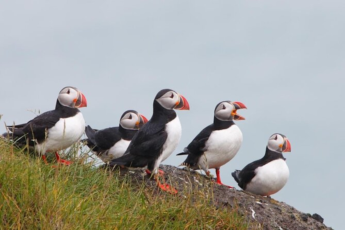 Panoramic view of Puffin Island off the coast of Anglesey